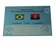 Placa CENIPA placa-cenipa